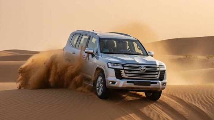 Vip Red Dunes Desert Safari Pick/Drop Camel Ride Dinner & Shows