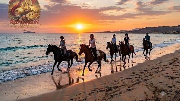 Horse Riding & Camel Beach,Desert, Swim,Sunrise & Sunset-Hurghada