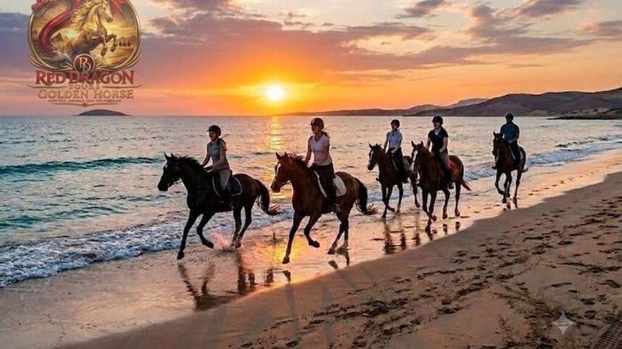 Horse Riding & Camel Beach,Desert, Swim,Sunrise & Sunset-Hurghada