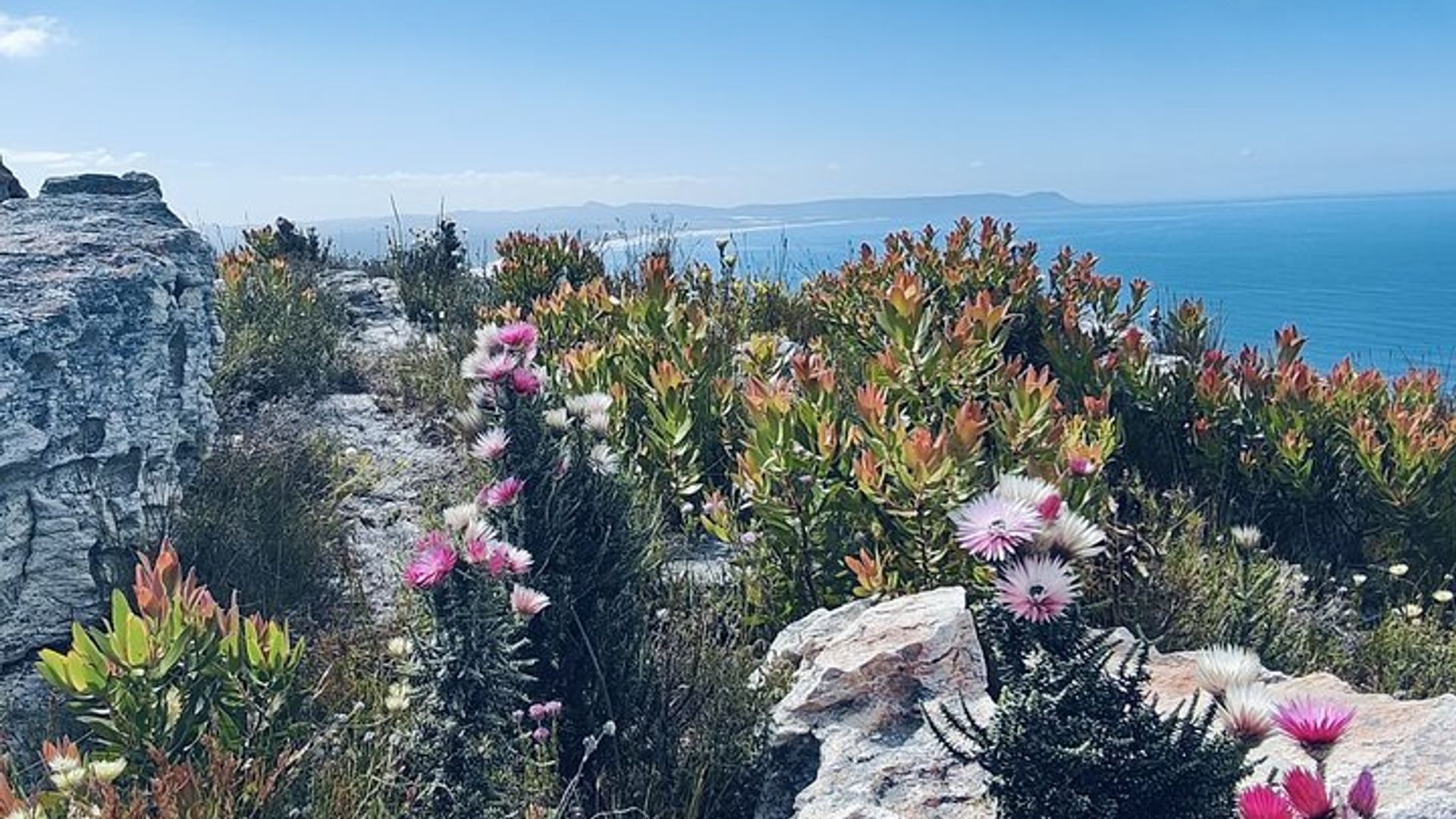 Excursiones guiadas por la naturaleza Hermanus
