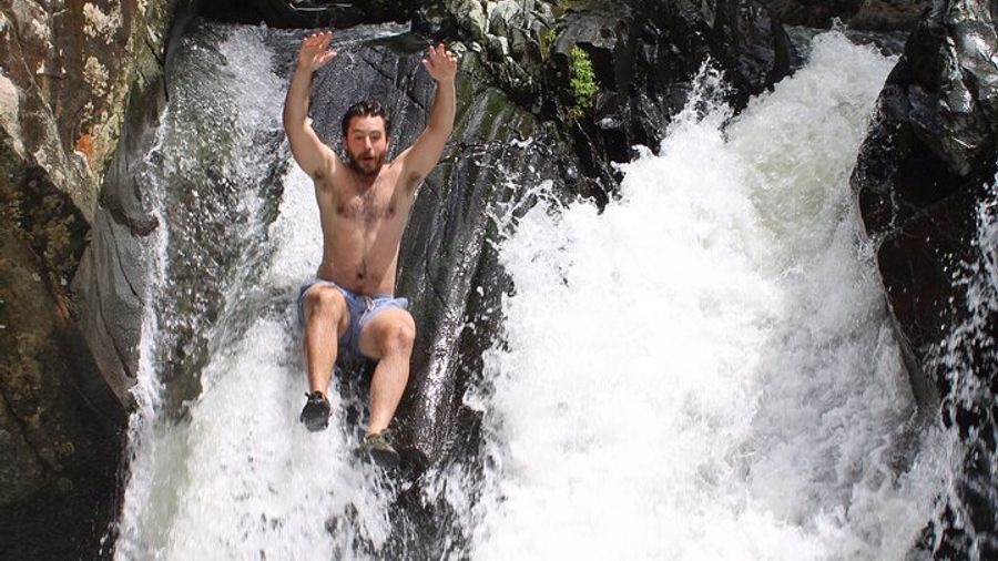 El Yunque Private Tour From San Juan