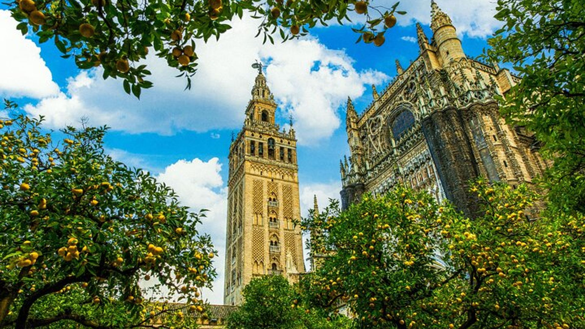 Skip the Line Seville Alcázar, Cathedral & Giralda Guided Tour