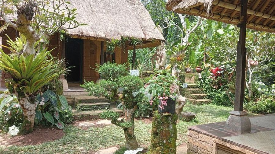 Seminyak Private Volcano, Swing, Sacred Forest, Temple Tour