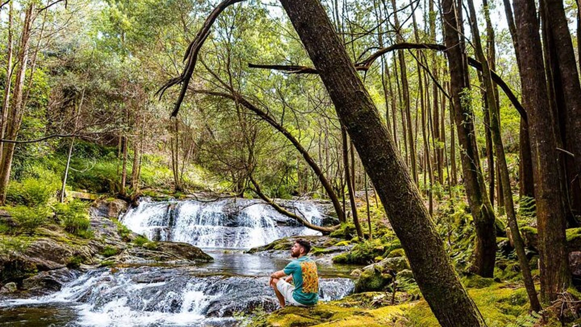 Porto Private Serra D’Arga Trek and Portuguese Dinner Tour