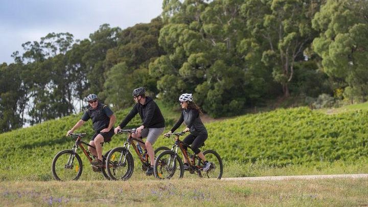 Hahndorf Half-Day Small-Group E-Bike Tour with Wine and Food