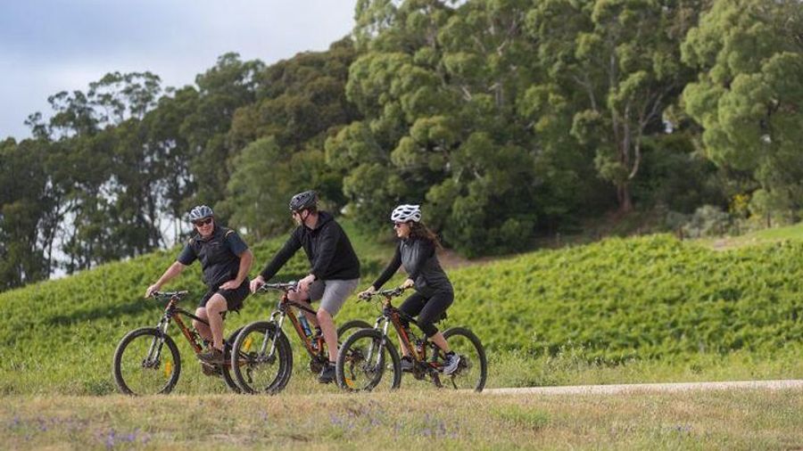 Hahndorf Half-Day Small-Group E-Bike Tour with Wine and Food