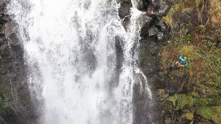 Hilo, Kulaniapia Falls: Guided Group Waterfall Rappelling Tour