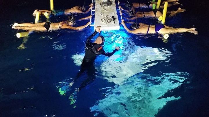 Kona Manta Ray Night Snorkel