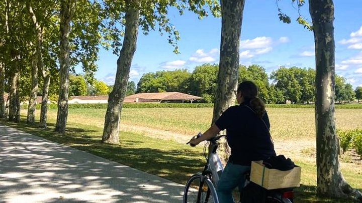 Wine & electric bike tour in Saint-Emilion with lunch
