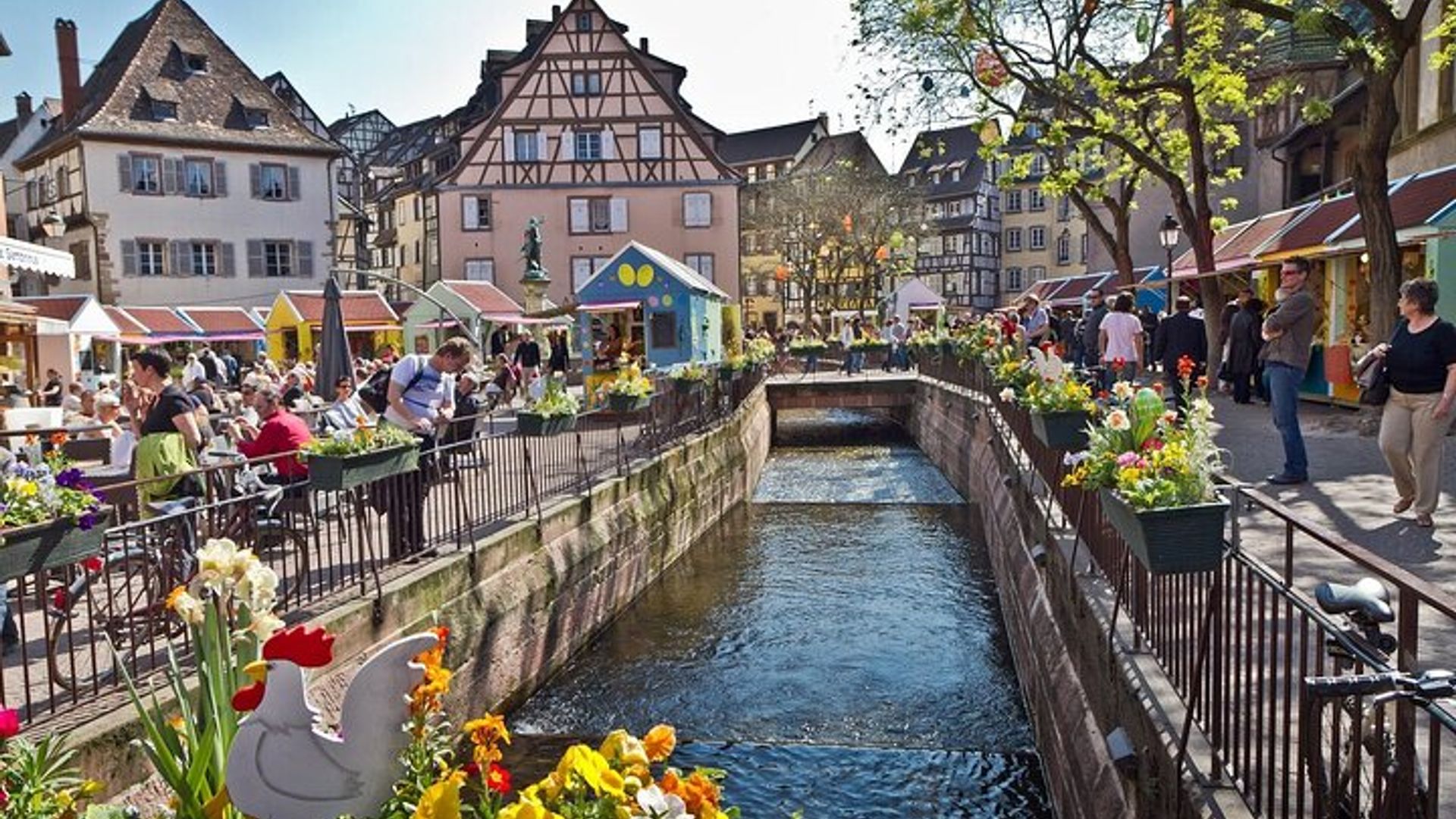 Visites en Segway de 2 heures à Colmar