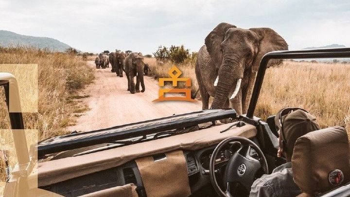3-Hour Private Game Drive in Pilanesberg National Park