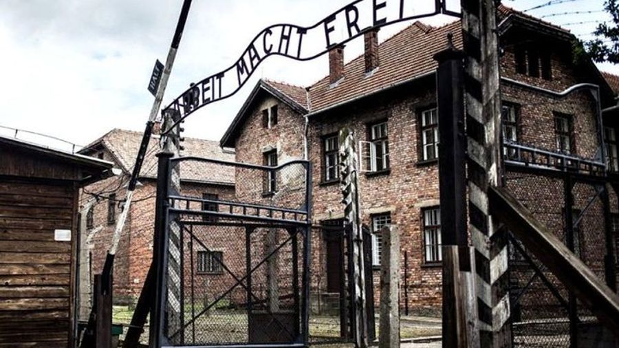 Auschwitz-Birkenau: Guided Tour from Krakow by Private Car