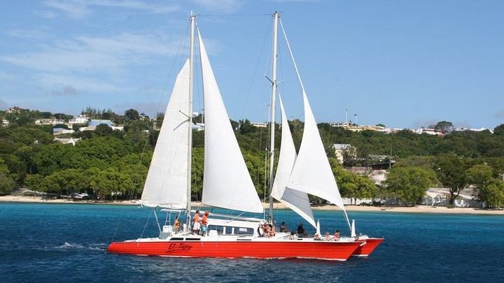Barbados Catamaran Turtle and Shipwreck Snorkeling Cruise