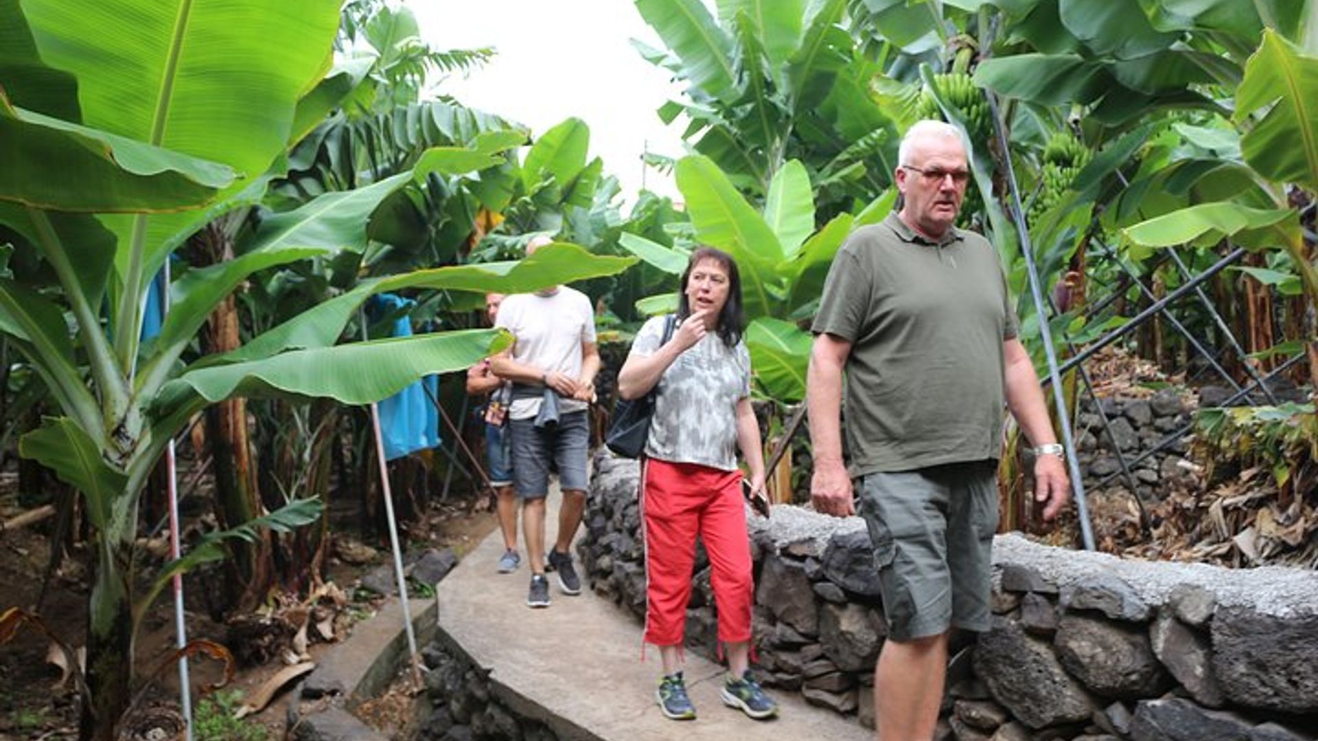 Le meilleur de SouthWest : une expérience en 4x4 avec toit ouvert