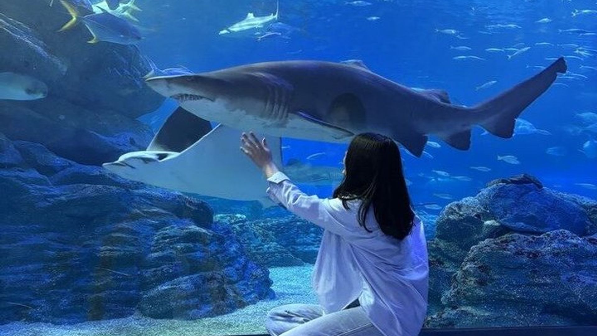 Aquarium de Paris Entry Ticket