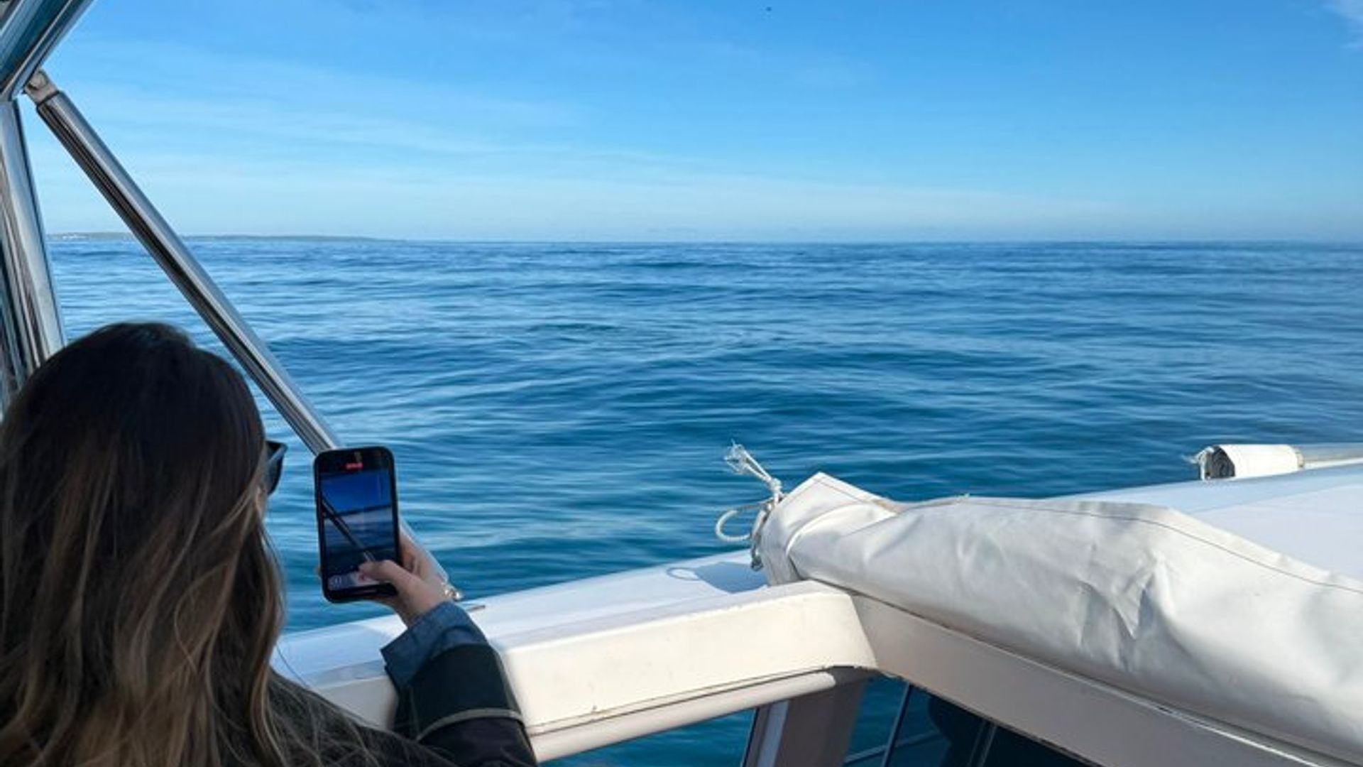 Avistamiento de ballenas y aventura de pingüinos en barco Hermanus