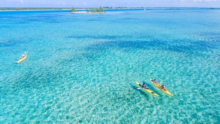 Kayak Eco Tour