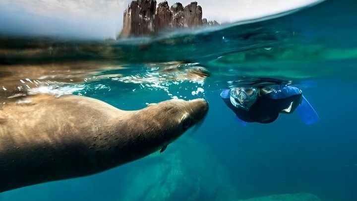 Espiritu Santo Island Tour with Sea Lion Snorkeling