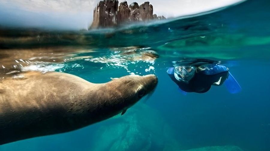 Espiritu Santo Island Tour with Sea Lion Snorkeling