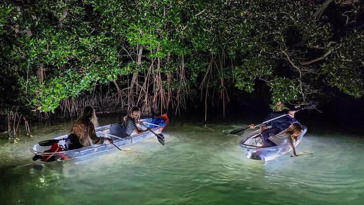 Sarasota Glass-Bottom Kayak Private Tour