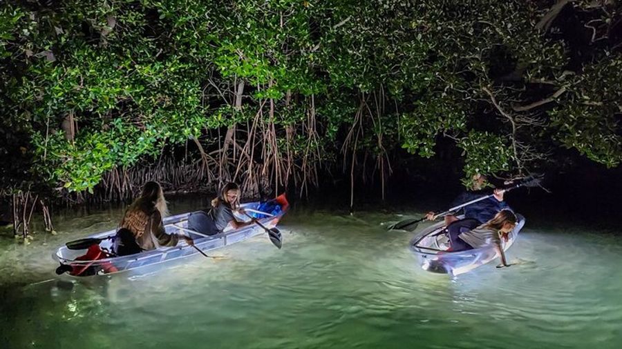 Sarasota Glass-Bottom Kayak Private Tour