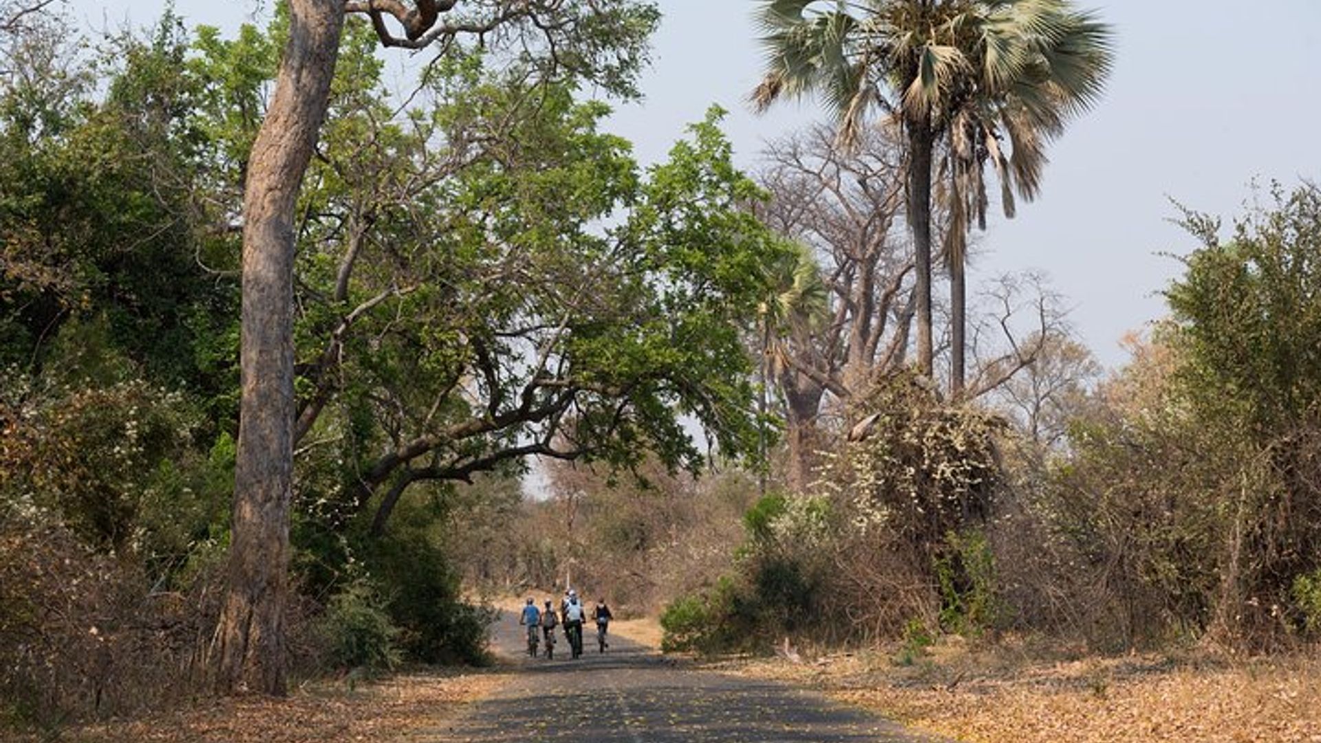 Wild Horizons Bike Tour (Zimbabwe)
