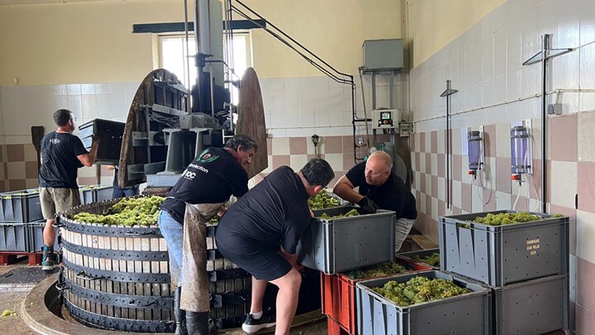 Epernay Champagner Tour mit Verkostung