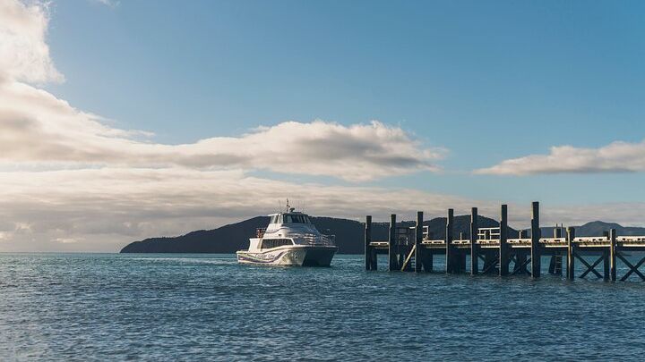 3.5 Hour Marlborough Sounds Delivery Cruise