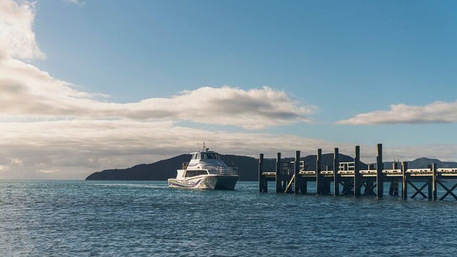 3.5 Hour Marlborough Sounds Delivery Cruise