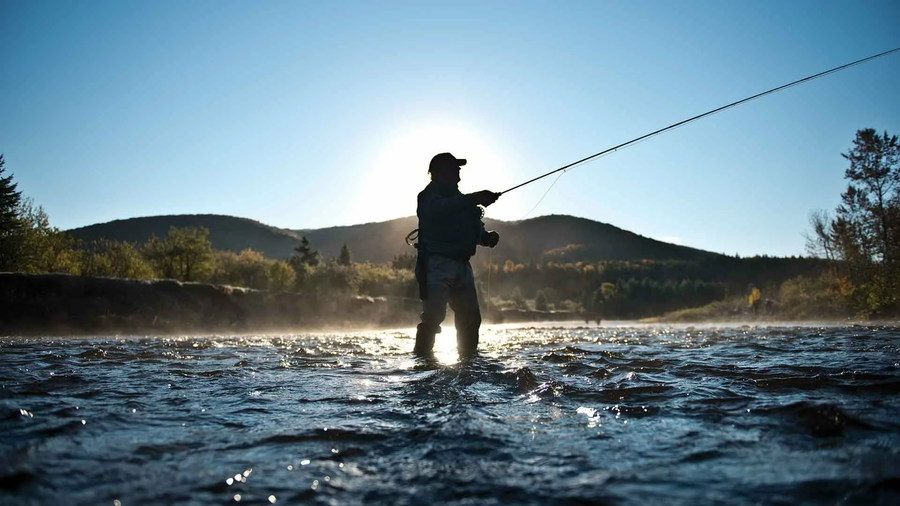 Rovaniemi: Summer & Autumn Fishing Tour in Arctic Nature & Barbeque - Small Group