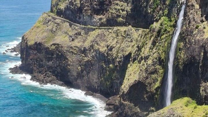 Madeira Island and Fanal Forest Tour With Select Pickup