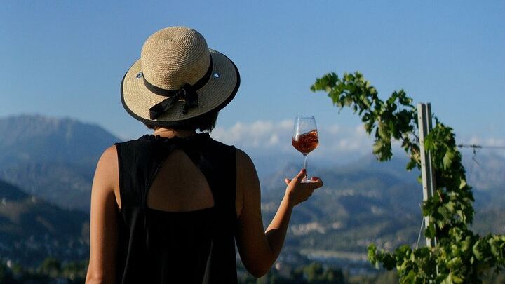 Nice 90-Minute Small-Group Wine-Tasting And Vineyard Tour