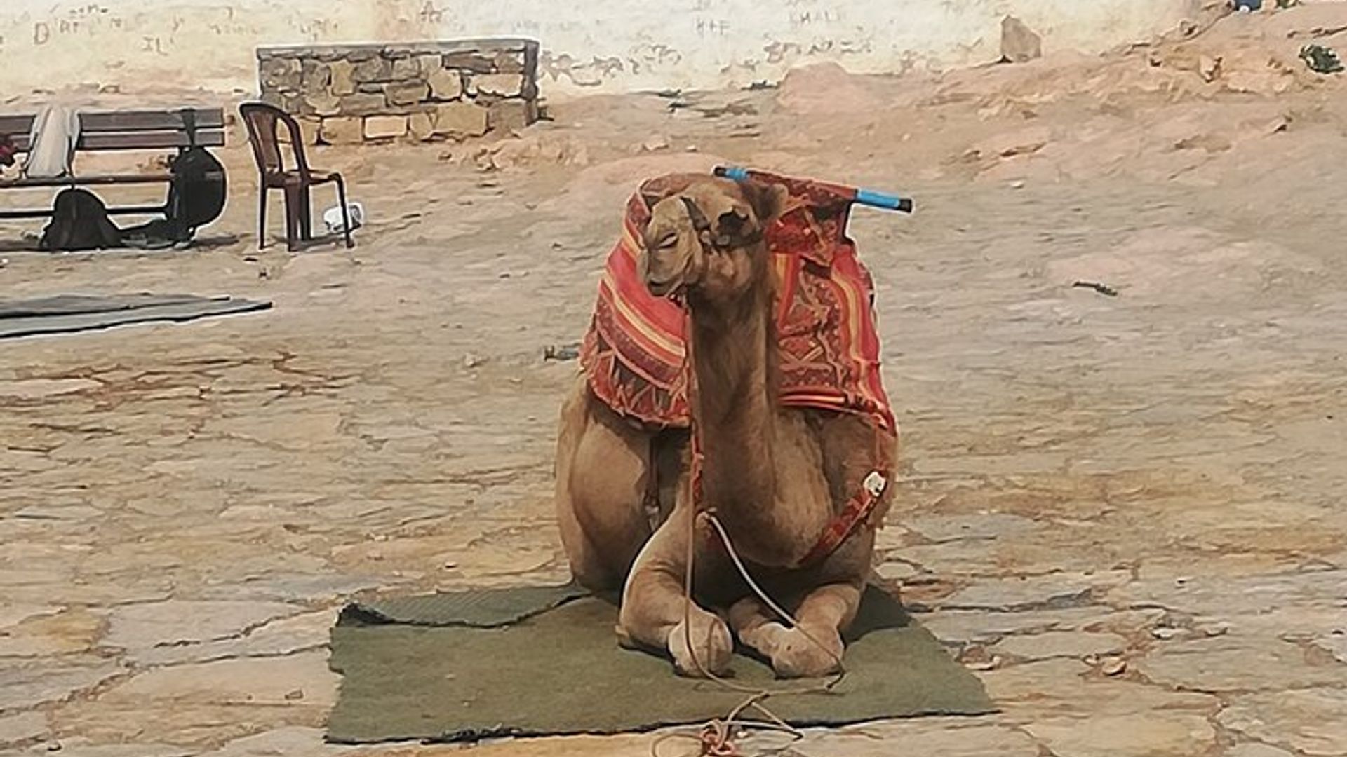 Experiencia en teleférico con Agadir City Tour