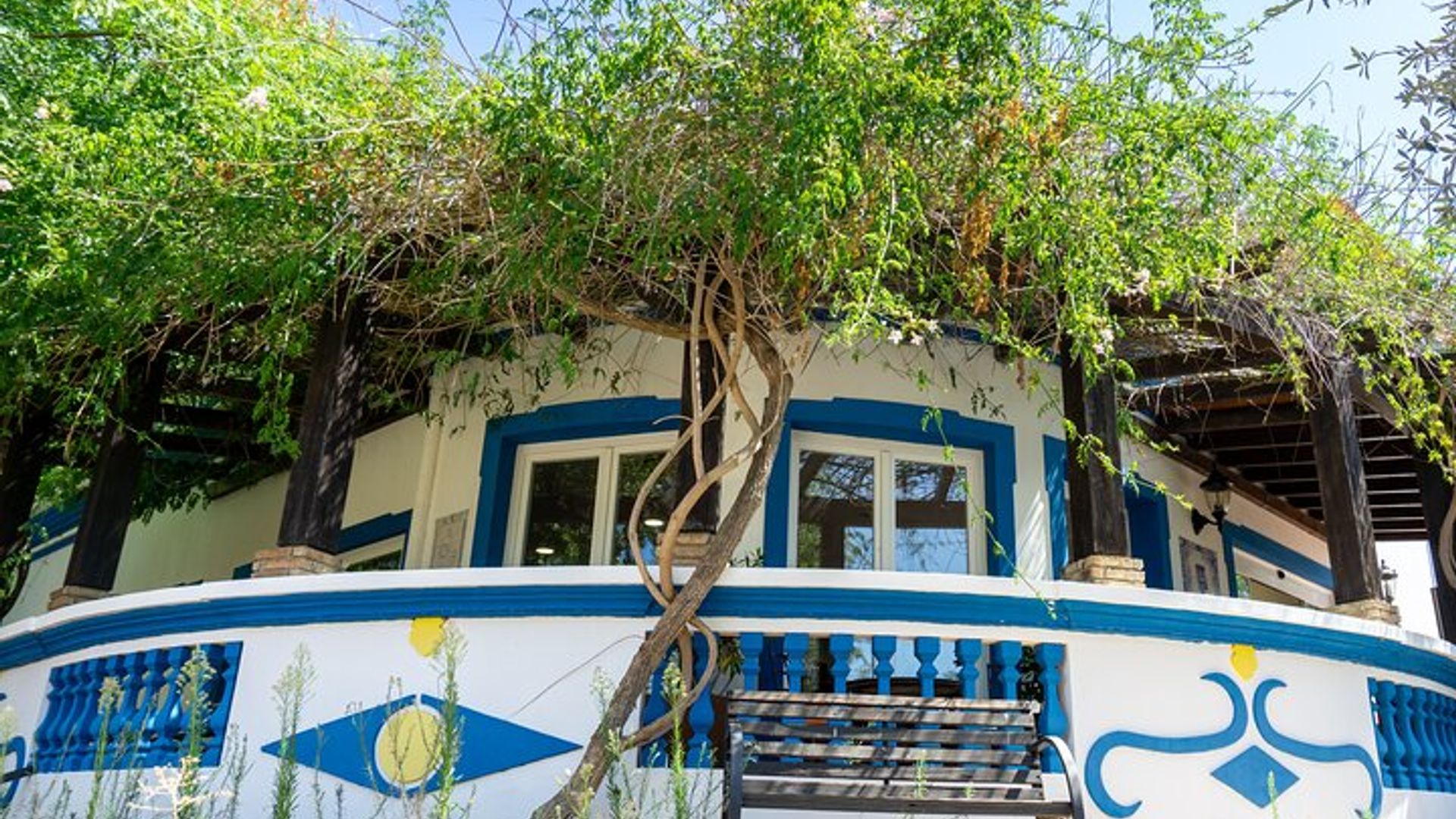 Albufeira Wine Tasting: Boutique Winery Tour & Historic Silves