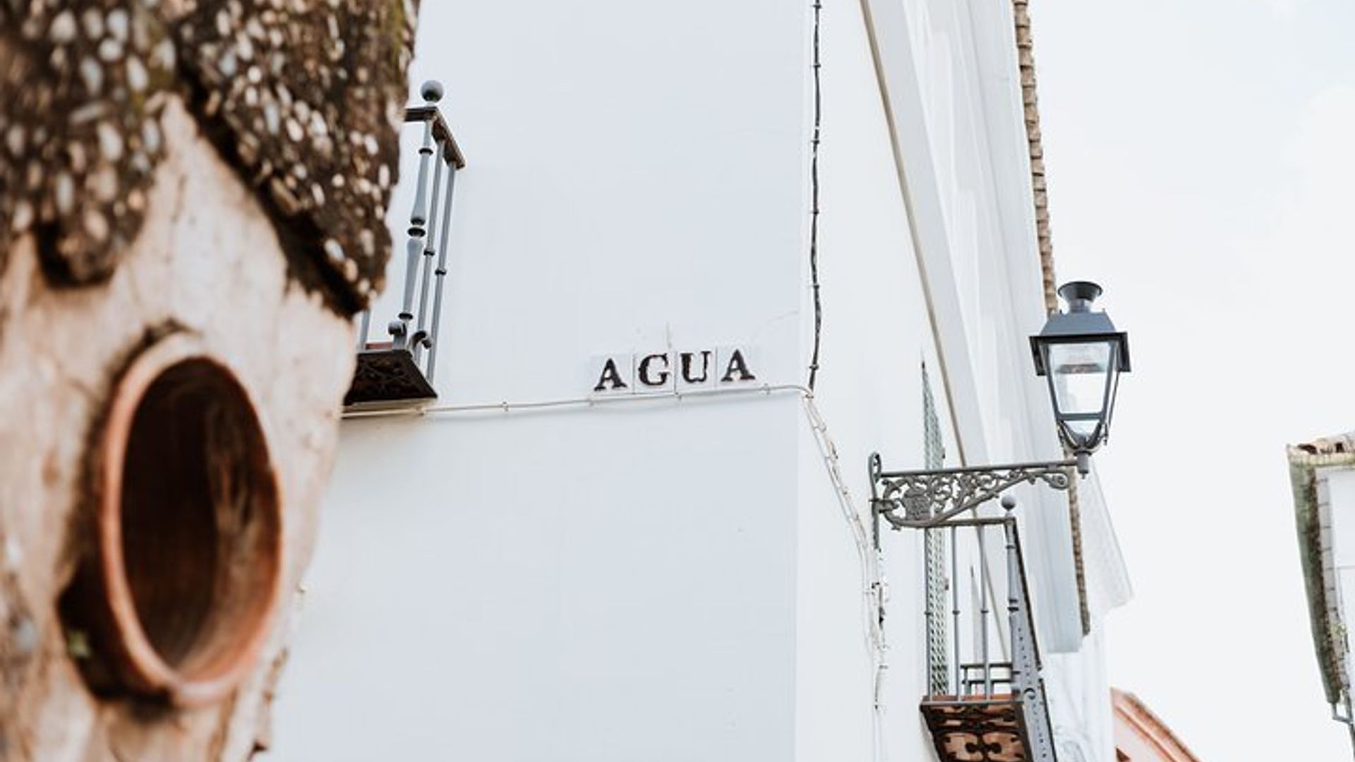 Tour a piedi nel quartiere ebraico di Santa Cruz a Siviglia in piccoli gruppi