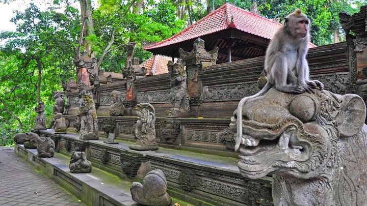 Ubud All-Inclusive Full-Day Tour