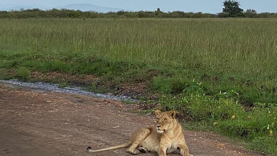 Nairobi national park and Giraffe center