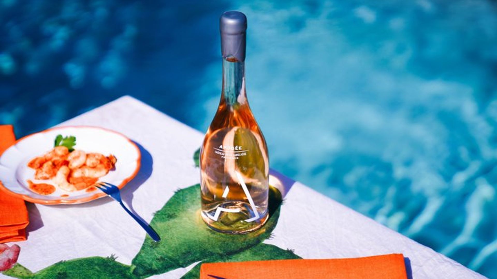 Visite du vignoble de la Français d'Azur en 4x4 et dégustation de vins en petit groupe