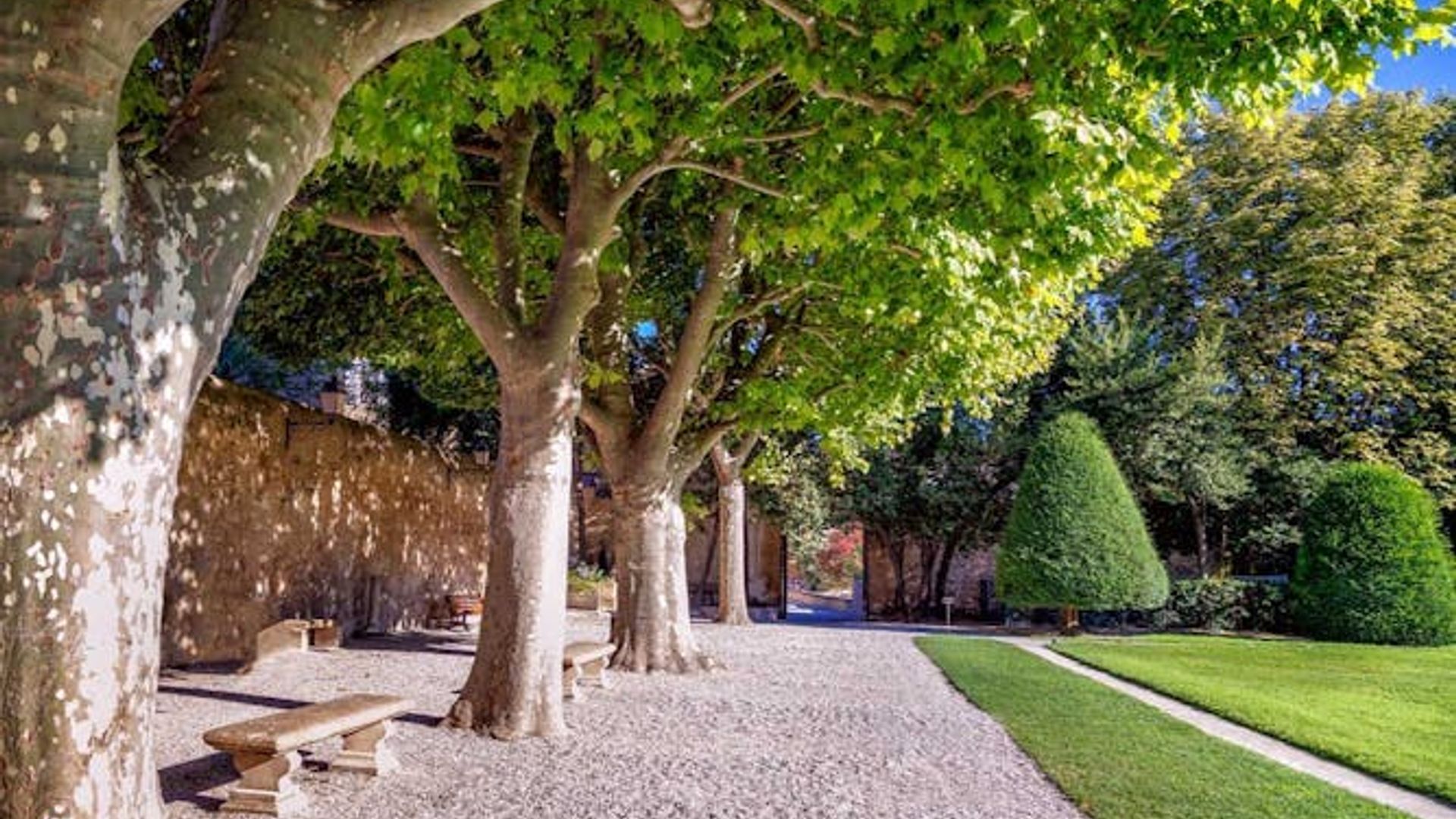 Discover Aix-en-Provence in 90 minutes with a local