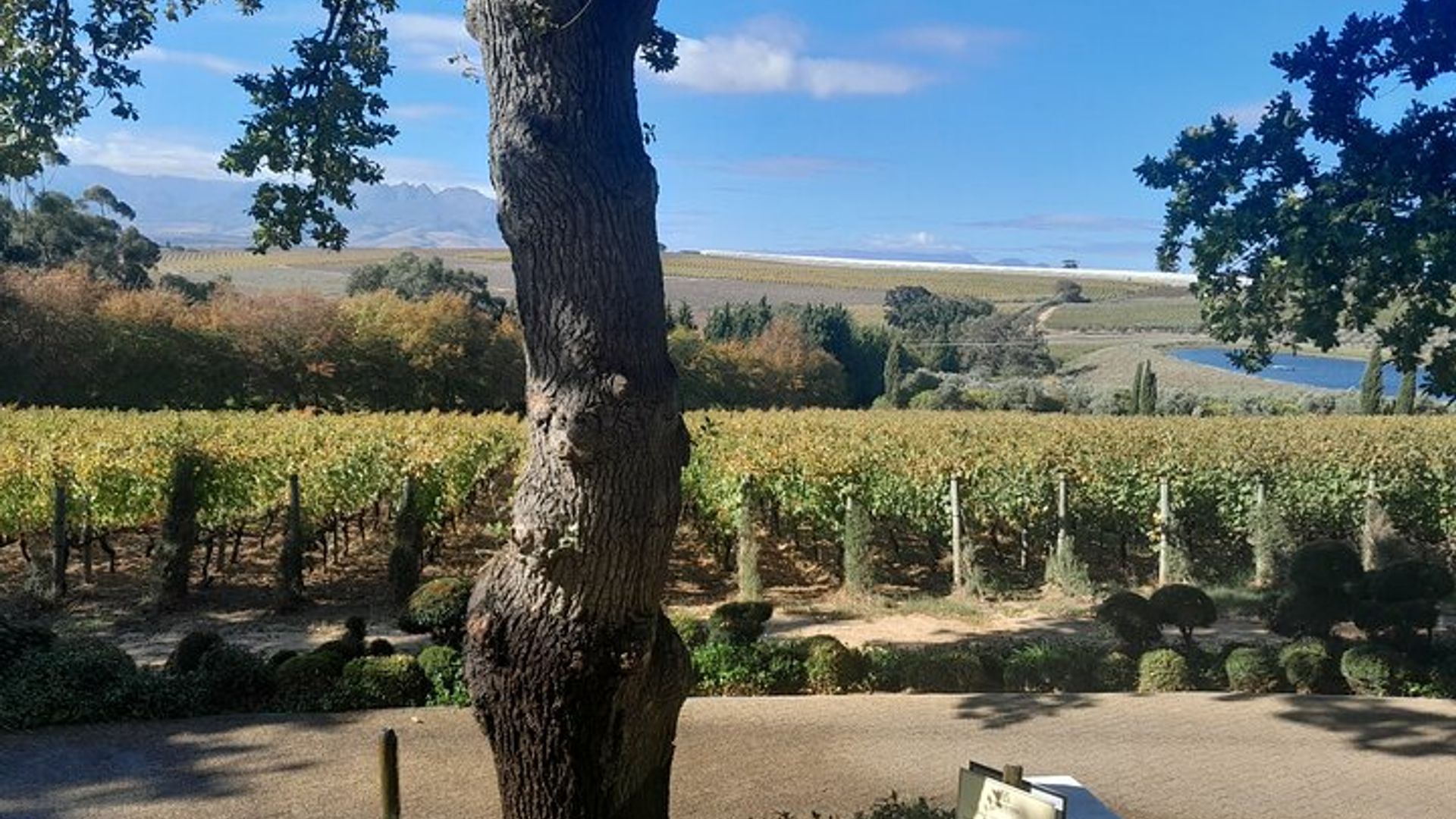 Top 5 Wineland for Private Wine Tasting & Pairing Experience