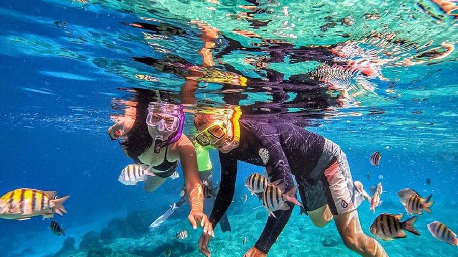 Family Fun-Snorkeling with Lunch Stop from Montego Bay