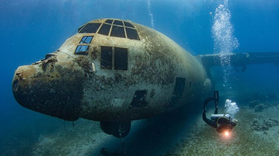 Aqaba Scuba Diving: 2-Dive Package for Certified Divers