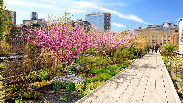New York City High Line, Meatpacking District, Chelsea Tour