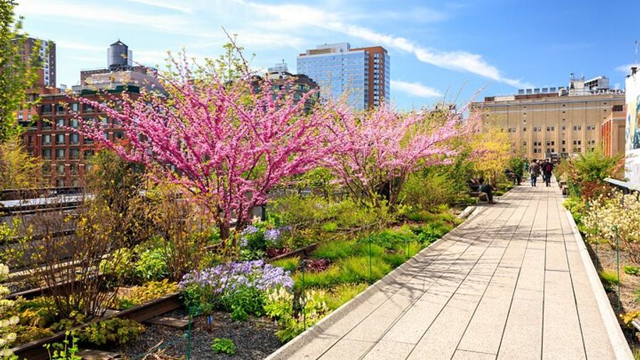 New York City High Line, Meatpacking District, Chelsea Tour