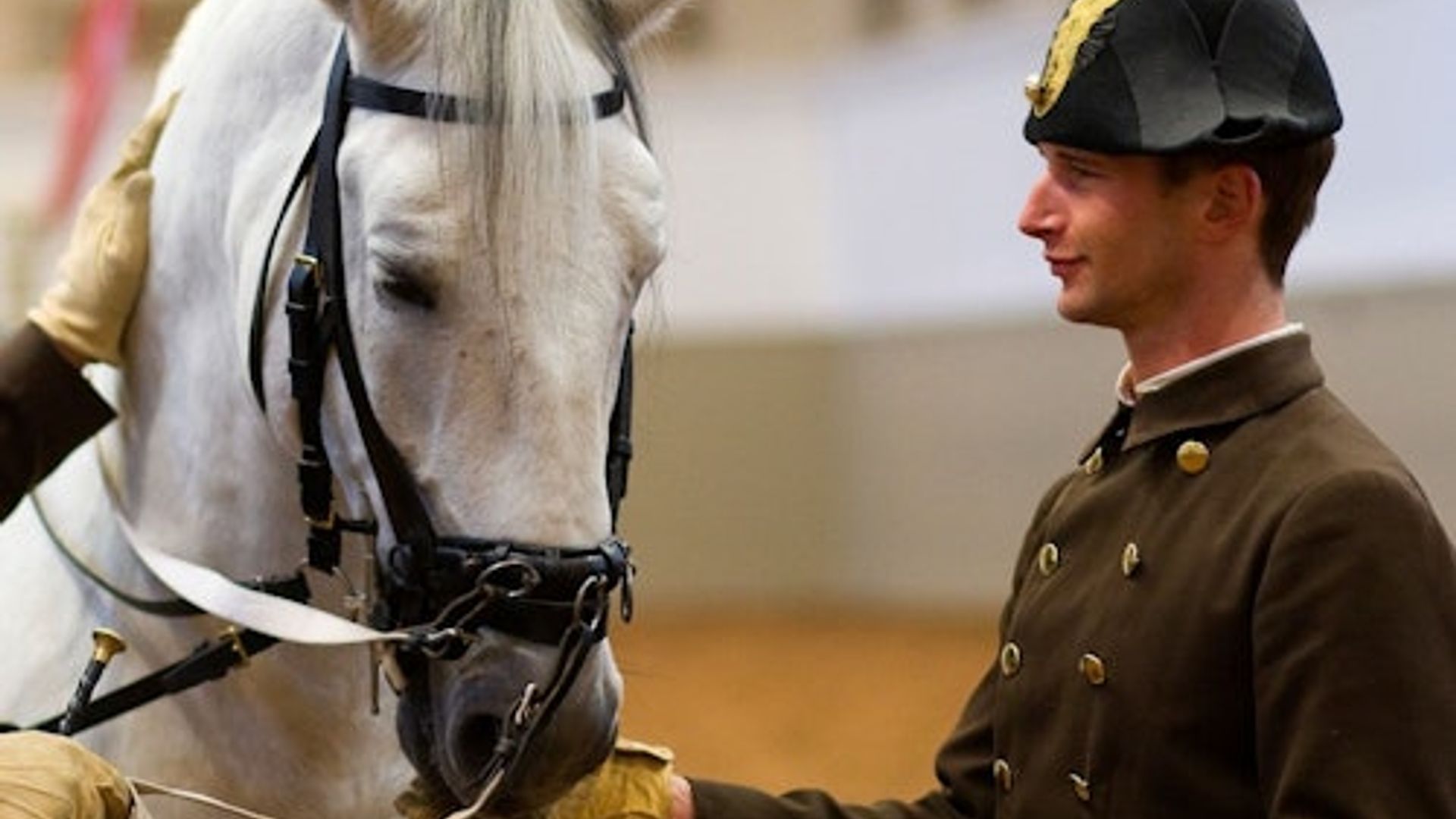 Horse Training at the Spanish Riding School