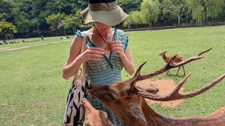 Nara Customizable Private Day Tour on Foot