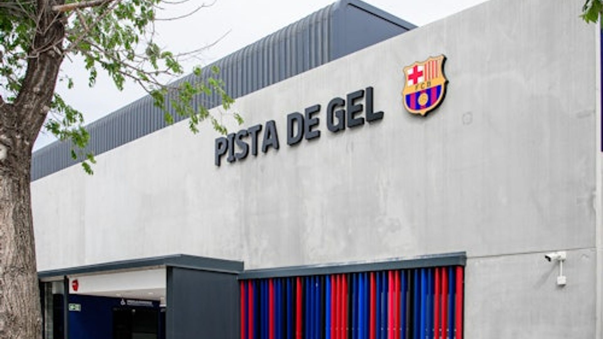 FC Barcelona Ice Rink: Entry Ticket