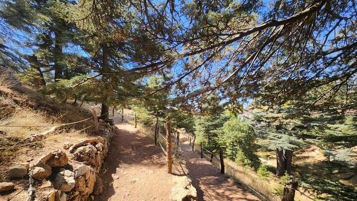 Bcharre - Qadisha Valley & Cedars Forest From Beirut