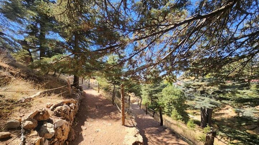 Bcharre - Qadisha Valley & Cedars Forest From Beirut