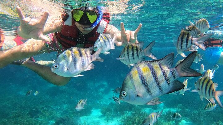 Isla Mujeres MUSA & 3 Reefs Snorkeling Small-Group Experience